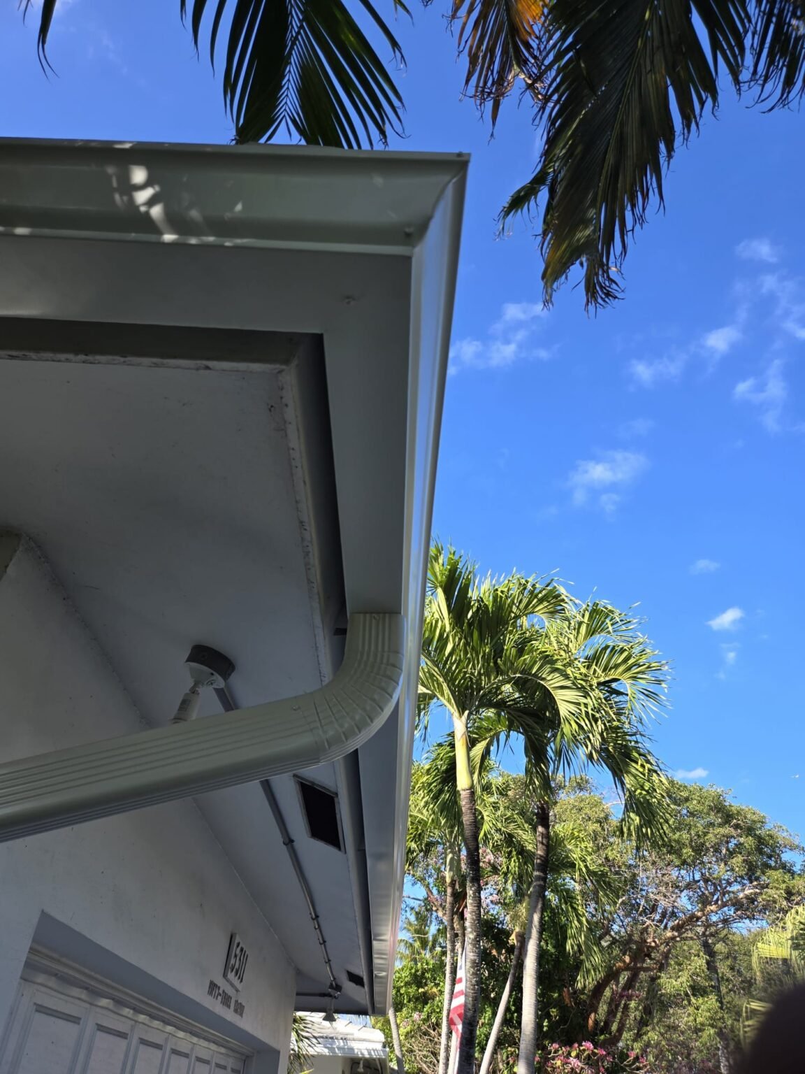 WhatsApp Image 2025-03-10 at 10.24.52 AM