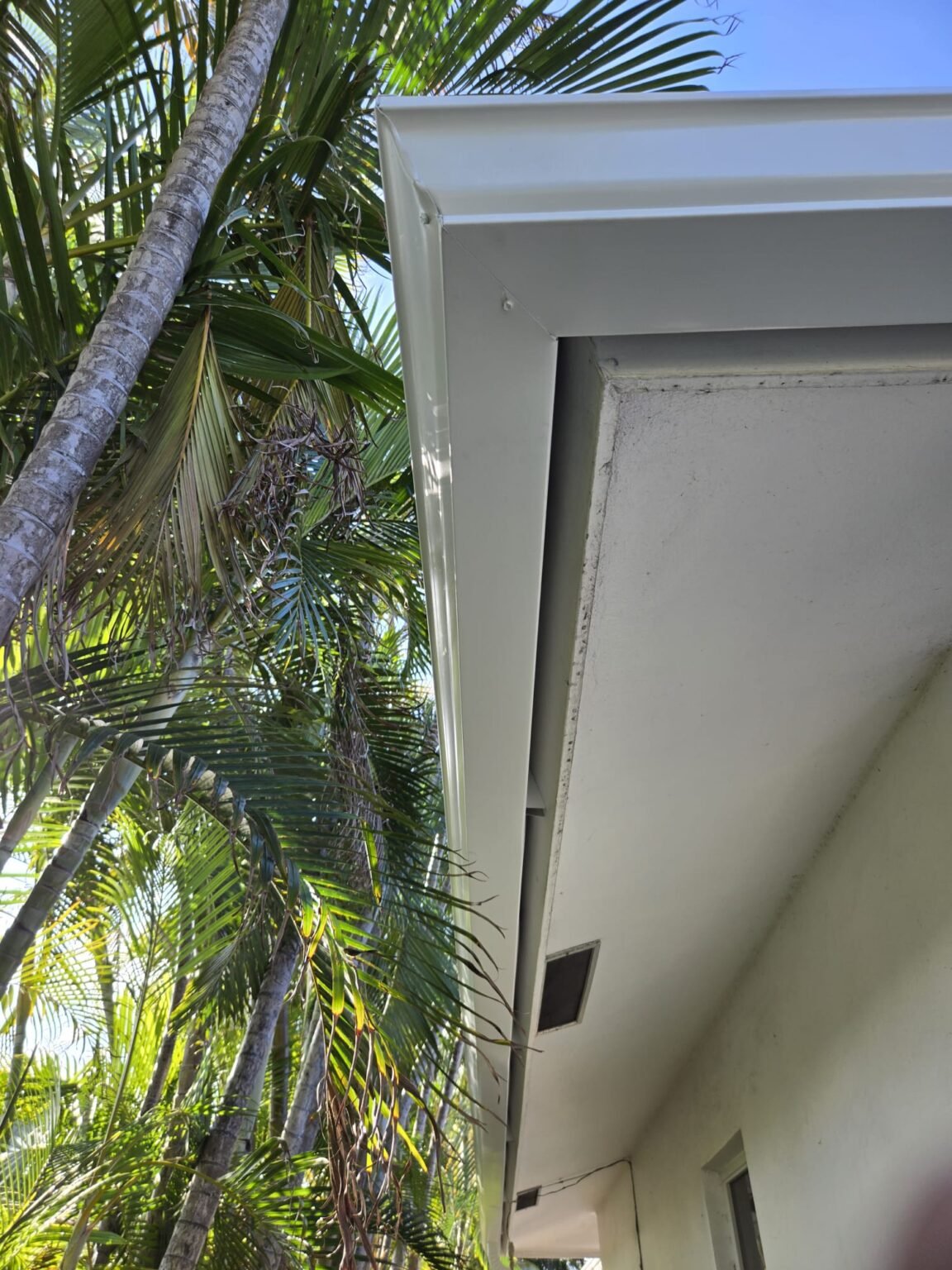 WhatsApp Image 2025-03-10 at 10.24.53 AM (1)